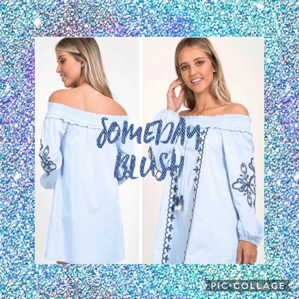 Someday Blush Large Blue Dress with embroidery